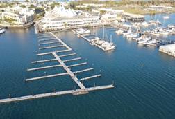 IMG_4558-850x455