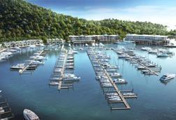 Shute Harbour