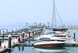 Ana Marina, Vietnam