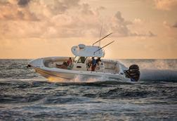 Boston Whaler Outrage